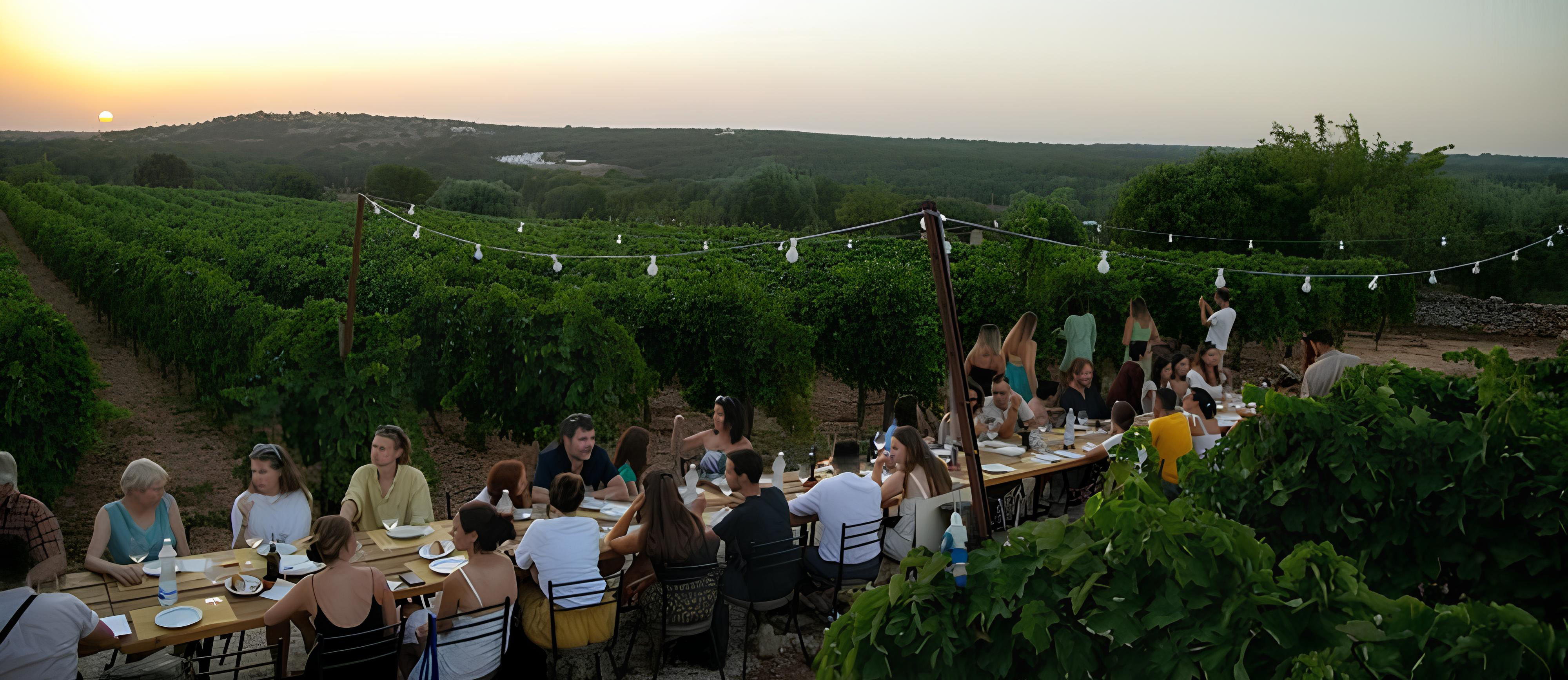 Wijnreizen
